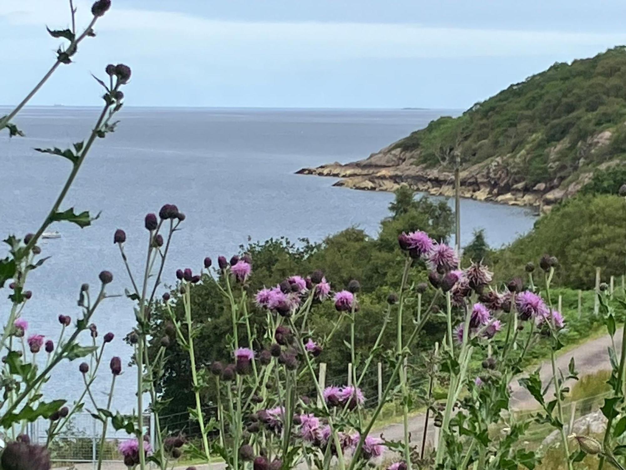 Waterfront Cottage Applecross Peninsula Ardheslaig Exterior foto